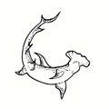 Great Hummerhead shark, bottom view. Ink black and white drawing. Royalty Free Stock Photo